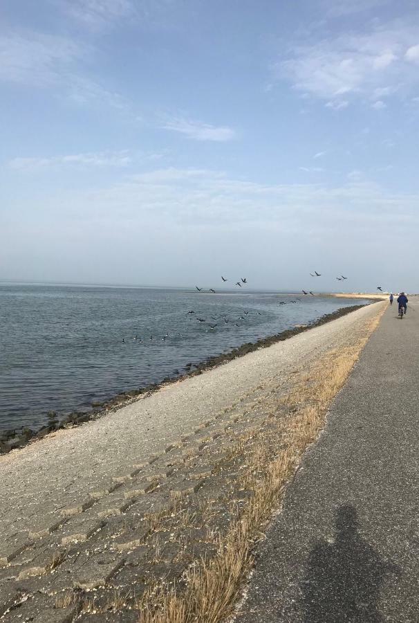 Haus Gorch Fock Appartement Neuharlingersiel Buitenkant foto